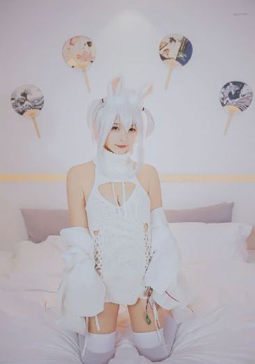 白月梵星免费观看全集完整版