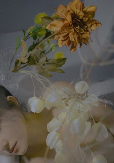 狐妖小红娘月红篇