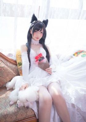 七个女特工的抗日电视剧